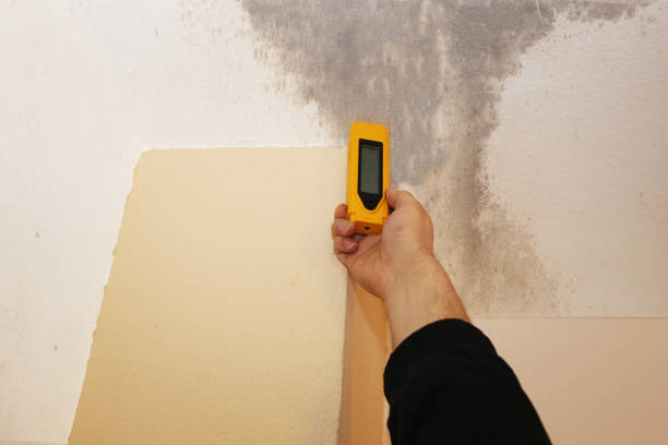 Best Commercial Mold Inspection  in Bernalillo, NM