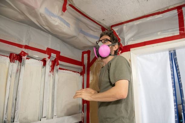Best Post-Construction Mold Inspection  in Bernalillo, NM